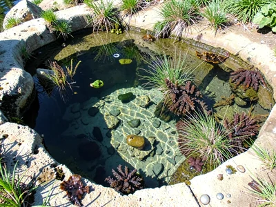 Low pool with most diversity