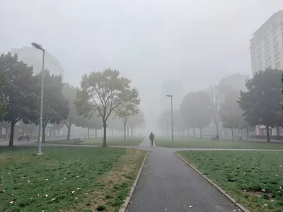 Park in urban smog
