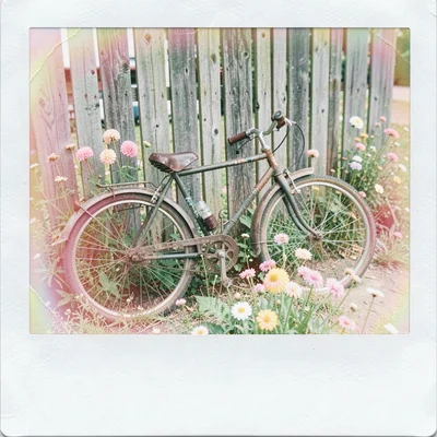 Expired Polaroid instant film photograph, Vintage bicycle leaning against weathe