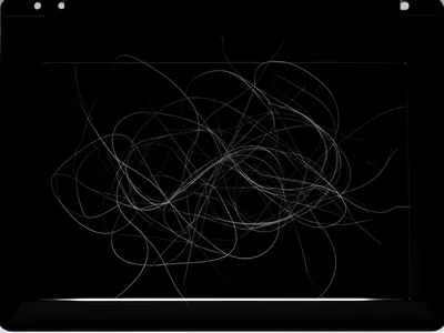 Hair strands on scanner glass, few loose hairs creating calligraphic lines acros