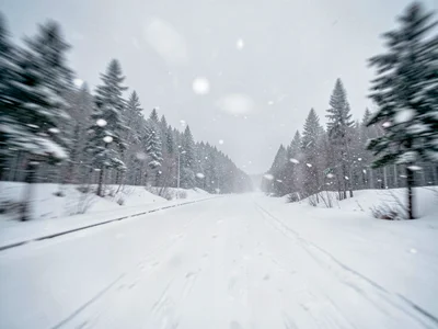 Snow fall blur creating direction