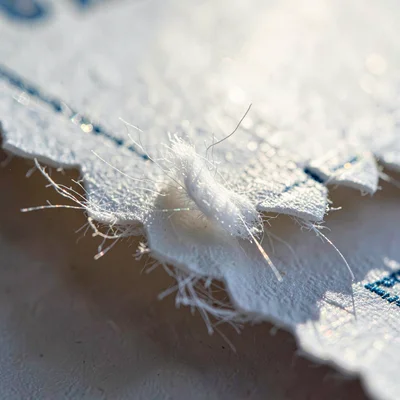 Macro study of a deckled card edge with feathered cotton fibers catching backlig