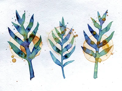 A seaweed study — three frond types arranged on a pale ground in blue-green and 