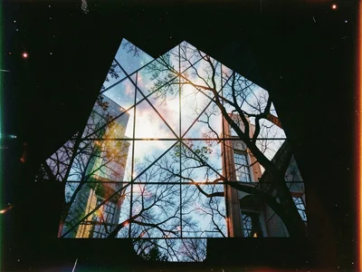 Building grid overlaid with tree branches at same scale, architectural lines int
