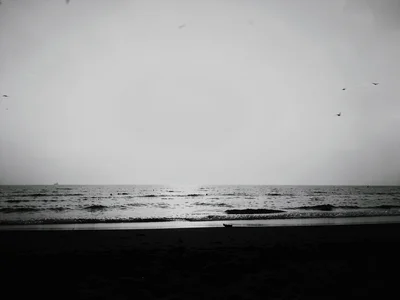 Beach silhouette with haze