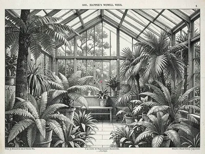 Victorian greenhouse conservatory