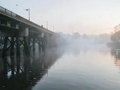 Bridge pilings creating rhythm into fog