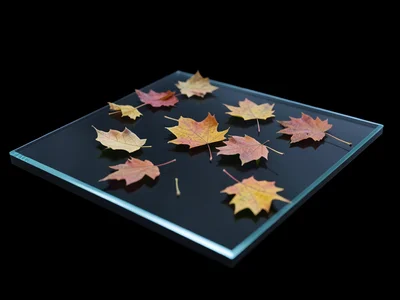 A handful of autumn leaves in various stages of decay scattered across the scann