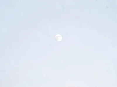 Moon visible in pale winter sky