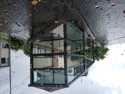 Bus shelter reflected in rain