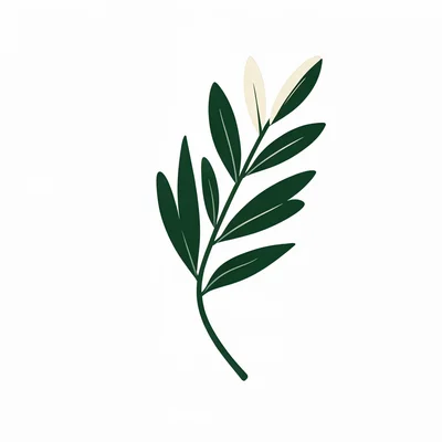 Block-color illustration of a single olive branch in deep green and cream