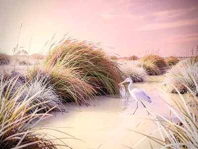 Marsh grass bending in a soft breeze with cream water threading through and a pa