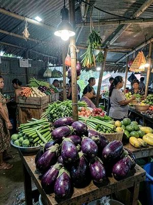 Humid tropical market light in Suva, Fiji, Purple eggplants glistening with humi