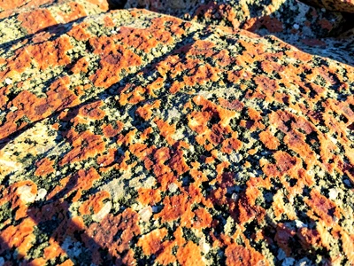 Summer sun on granite warm tones