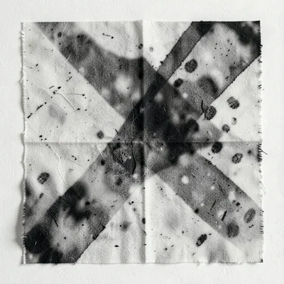 A chemigram with fabric resist — cloth pressed on paper, texture as resist patte