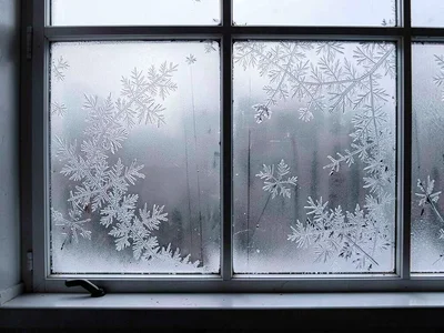 Frost pattern following temperature gradient