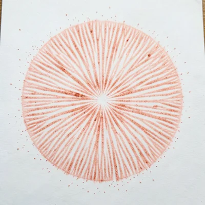 Russula pink spore print on white paper, delicate salmon-pink deposit in perfect