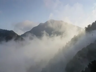 Fog clearing revealing phenomenon