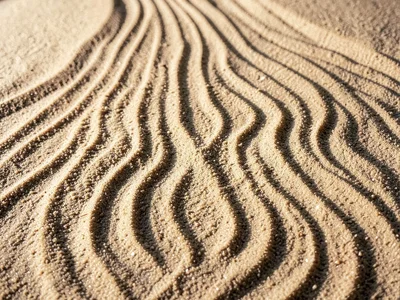 Sand pattern showing transformation as frequency sweeps higher