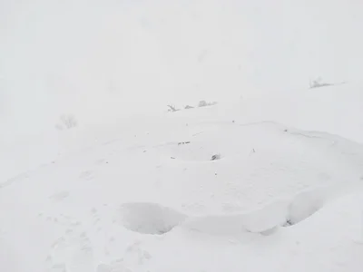 Slight depression suggesting buried object
