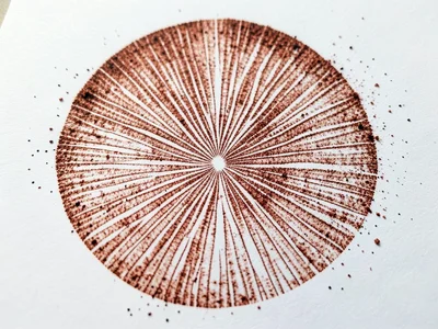 Partial half-cap spore print, semicircle of rust-brown Cortinarius spores, gill 