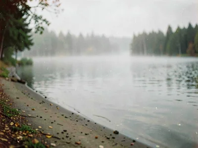 Lake shore soft with mist