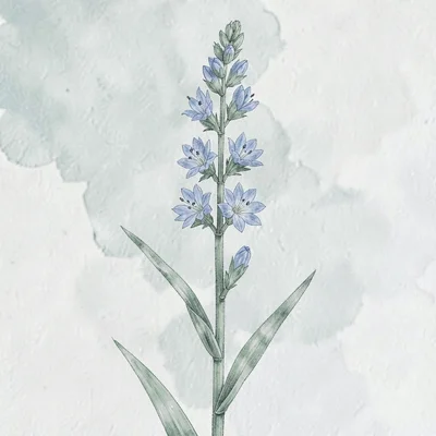 Botanical illustration of a flax plant with blue blossoms, soft sage palette