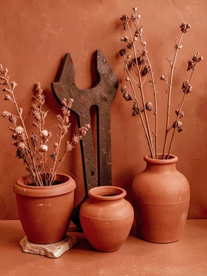 Rust monochrome, iron objects, terracotta, dried plants, red-orange tonal contro