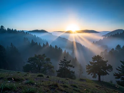 Sun breaking through fog turning it from blue to gold