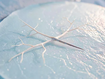 Dendrite spread fanning into a sharp asymmetric branch across pale blue ice plat