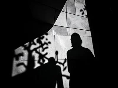 Shadow play on architectural surface