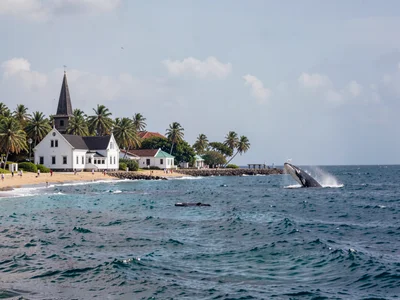 Sunday stillness in Nuku'alofa, Tonga, A whale breaching in the distance while t