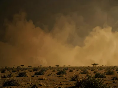 Landscape reduced to three tones: dark, amber, gold