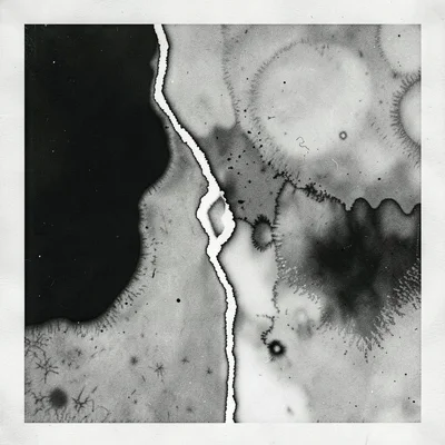 A chemigram showing developer and fixer collision zones as sharp tonal boundary 