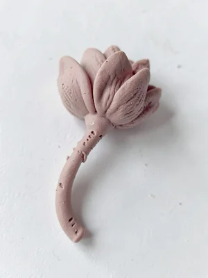 Wilting dusty-rose flower head with thumb-pressed petals and fingernail dents al