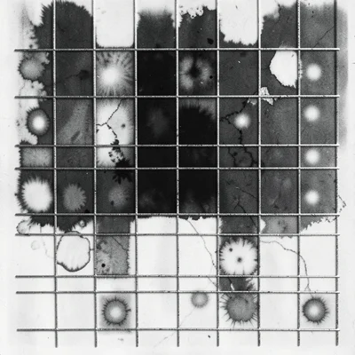 A chemigram with wire mesh resist — grid of square zones, each with distinct ton