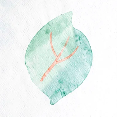 abstract leaf-shape in mint-green with three small coral veins tracing through i