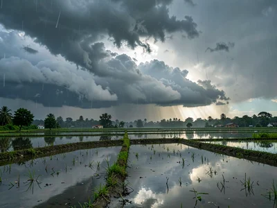 Monsoon clouds reflected in flooded field