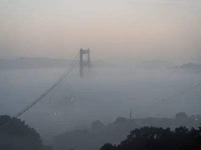 A suspension bridge with its towers lost in fog, only the cables visible sweepin