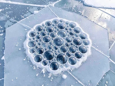 Methane bubble cluster frozen in rosette pattern