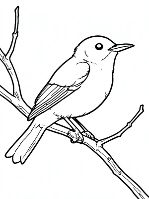 Bird on branch outline