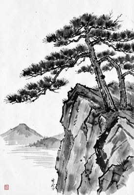Cliff pine sumi-e