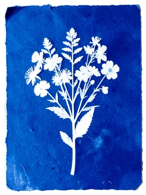 Cyanotype print of mother's garden flowers arranged as bouquet, blue silhouettes