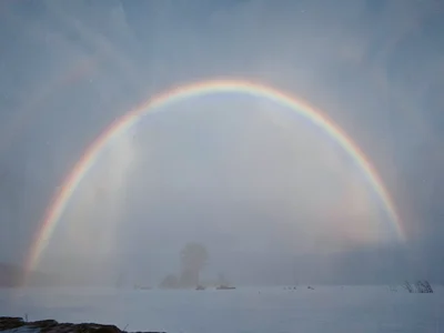 Fogbow arc showing muted colors in mist