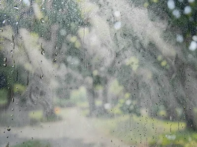Breath visible in humid air, not cold enough for vapor but moisture thick enough
