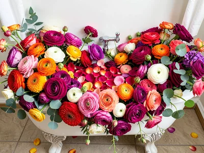 A bathtub filled with flowers — rose petals, ranunculus, eucalyptus to the very 