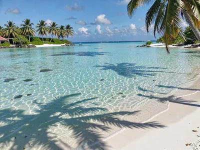 Lagoon turquoise light in Rarotonga, Ripples in shallow lagoon water catching af