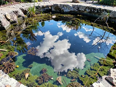 Pool reflection of sky adding depth