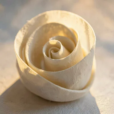 Macro of cream paper twisted into a tight rye-grain spiral, golden hour lamp gra