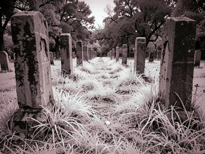 Cemetery with white grass between stones